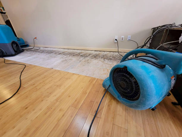 Professional Burst Pipe Water Damage technician working in Berlin, WI